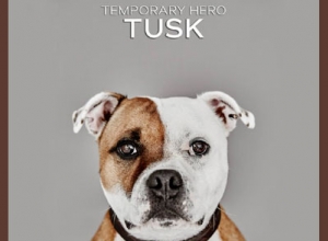 temporary-hero-tusk-01-670-380